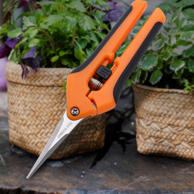 Stainless Steel Garden Pruning Shears , Ergonomic Handle, Ideal for Flowers, Buds, Herbs &amp; Small Plants