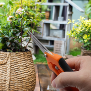 Stainless Steel Garden Pruning Shears , Ergonomic Handle, Ideal for Flowers, Buds, Herbs &amp; Small Plants