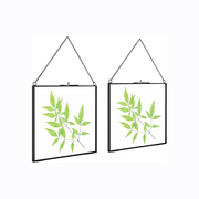 2 Pcs Hanging Glass Photo Frames – 6×6 Inch Double Glass Pressed Flower Frames