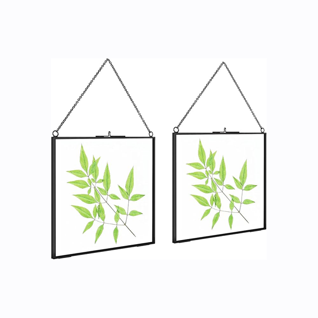 2 Pcs Hanging Glass Photo Frames – 6×6 Inch Double Glass Pressed Flower Frames