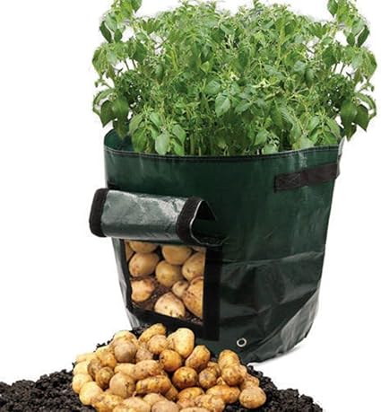 Potato Grow Bag – PE Root Planter with Side Window for Easy Harvesting & Healthy Plant Growth