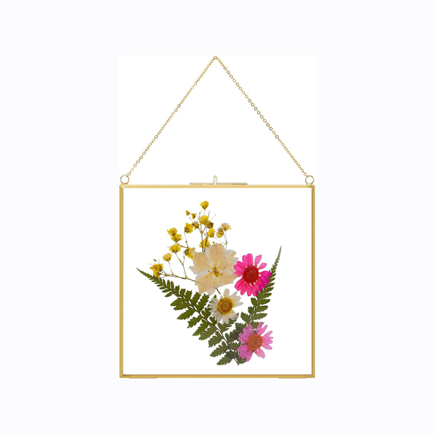 2 Pcs Hanging Glass Photo Frames – 6×6 Inch Double Glass Pressed Flower Frames