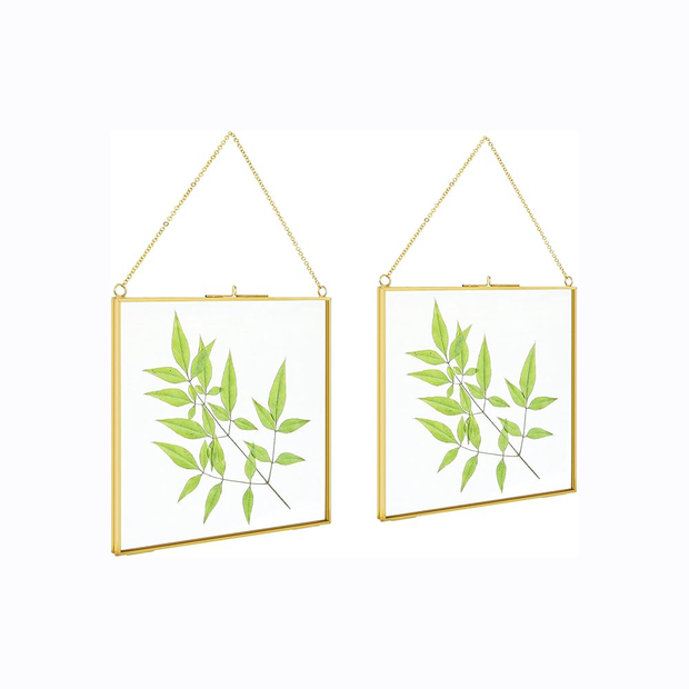 2 Pcs Hanging Glass Photo Frames – 6×6 Inch Double Glass Pressed Flower Frames