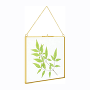 2 Pcs Hanging Glass Photo Frames – 6×6 Inch Double Glass Pressed Flower Frames