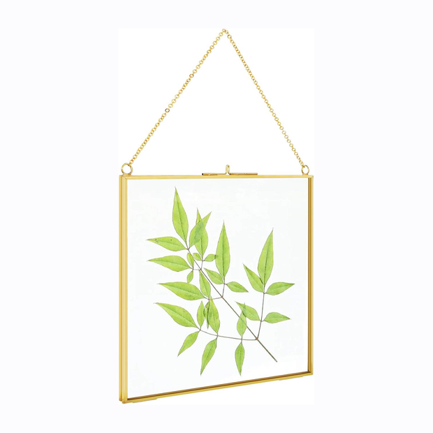2 Pcs Hanging Glass Photo Frames – 6×6 Inch Double Glass Pressed Flower Frames