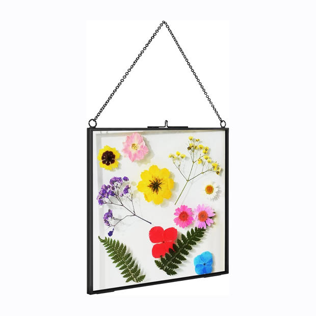 2 Pcs Hanging Glass Photo Frames – 6×6 Inch Double Glass Pressed Flower Frames
