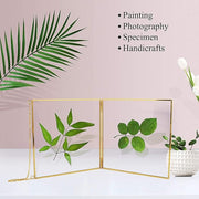 2 Pcs Hanging Glass Photo Frames – 6×6 Inch Double Glass Pressed Flower Frames