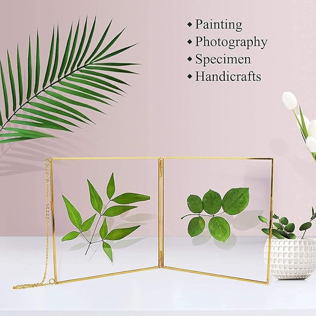 2 Pcs Hanging Glass Photo Frames – 6×6 Inch Double Glass Pressed Flower Frames