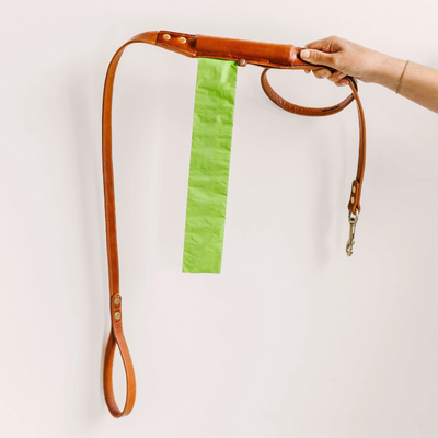 Premium Leather Dog Leash with Dual Rollers | 5.5 ft, Durable Brass Hardware