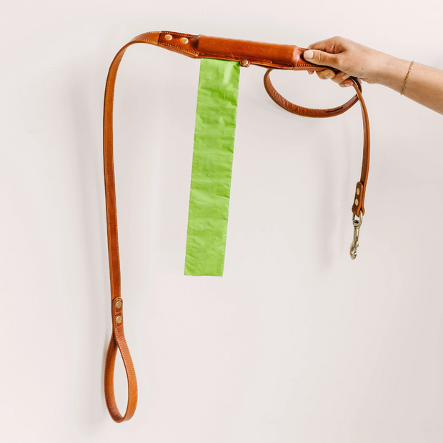 Premium Leather Dog Leash with Dual Rollers | 5.5 ft, Durable Brass Hardware